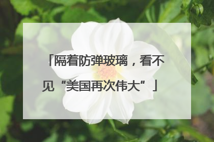 隔着防弹玻璃，看不见“美国再次伟大”