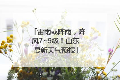 雷雨或阵雨，阵风7~9级！山东最新天气预报