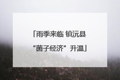 雨季来临 镇沅县“菌子经济”升温