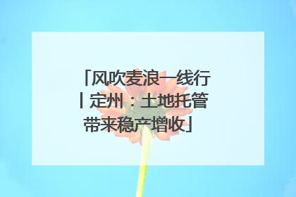 风吹麦浪一线行丨定州：土地托管带来稳产增收