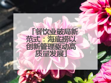 餐饮业破局新范式：海底捞以创新管理驱动高质量发展