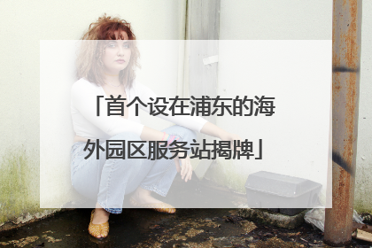 首个设在浦东的海外园区服务站揭牌