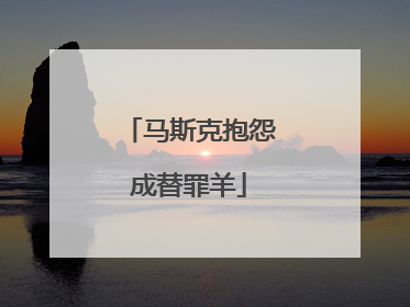 马斯克抱怨成替罪羊