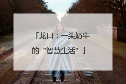 龙口：一头奶牛的“智慧生活”