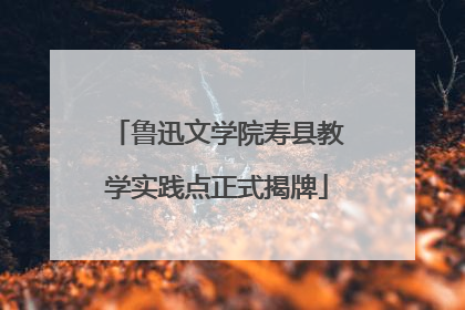 鲁迅文学院寿县教学实践点正式揭牌