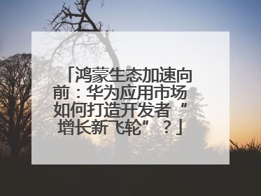 鸿蒙生态加速向前：华为应用市场如何打造开发者“增长新飞轮”？