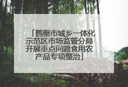 鹤壁市城乡一体化示范区市场监管分局开展重点问题食用农产品专项整治