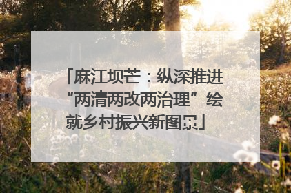 麻江坝芒：纵深推进“两清两改两治理”绘就乡村振兴新图景