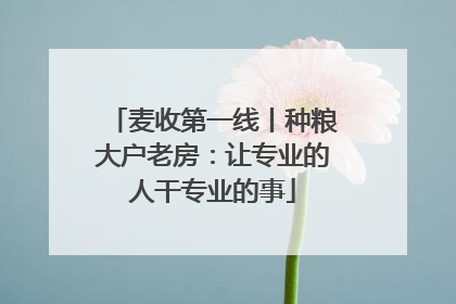 麦收第一线丨种粮大户老房：让专业的人干专业的事