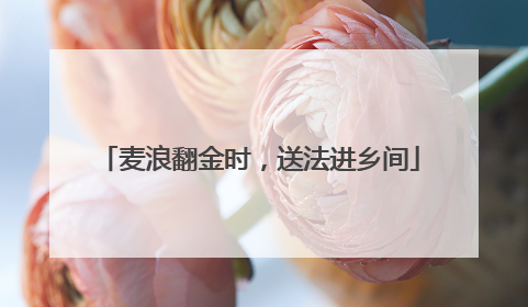 麦浪翻金时，送法进乡间