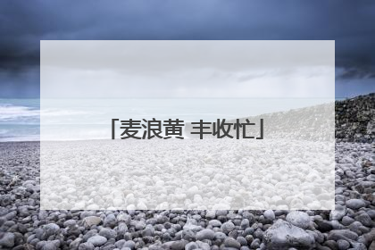 麦浪黄 丰收忙