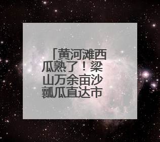 黄河滩西瓜熟了！梁山万余亩沙瓤瓜直达市民餐桌
