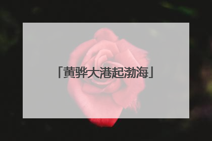 黄骅大港起渤海