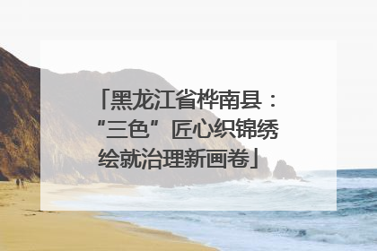 黑龙江省桦南县：“三色”匠心织锦绣 绘就治理新画卷
