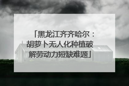 黑龙江齐齐哈尔：胡萝卜无人化种植破解劳动力短缺难题