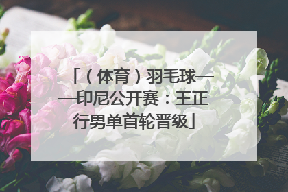（体育）羽毛球——印尼公开赛：王正行男单首轮晋级