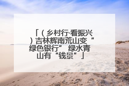 （乡村行·看振兴）吉林辉南荒山变“绿色银行” 绿水青山有“钱景”