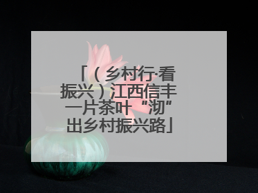 （乡村行·看振兴）江西信丰一片茶叶“沏”出乡村振兴路