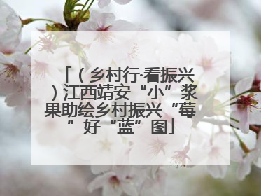 （乡村行·看振兴）江西靖安“小”浆果助绘乡村振兴“莓”好“蓝”图