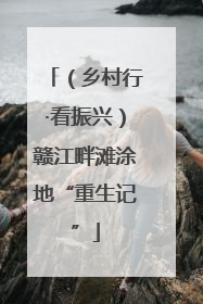（乡村行·看振兴）赣江畔滩涂地“重生记”
