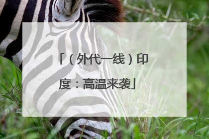 （外代一线）印度：高温来袭