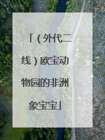 （外代二线）欧宝动物园的非洲象宝宝