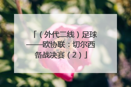 （外代二线）足球——欧协联：切尔西备战决赛（2）