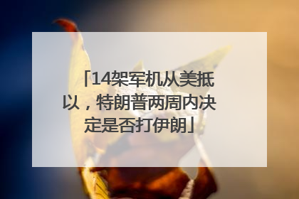 14架军机从美抵以，特朗普两周内决定是否打伊朗