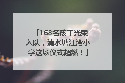 168名孩子光荣入队，清水塘江湾小学这场仪式超燃！