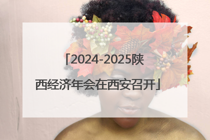 2024-2025陕西经济年会在西安召开