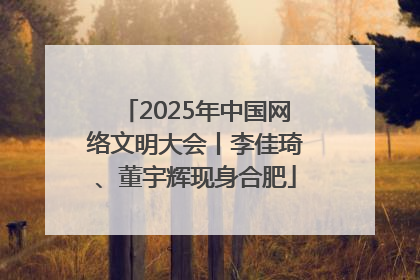 2025年中国网络文明大会丨李佳琦、董宇辉现身合肥