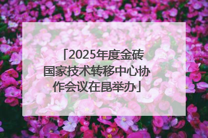 2025年度金砖国家技术转移中心协作会议在昆举办