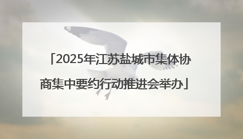 2025年江苏盐城市集体协商集中要约行动推进会举办