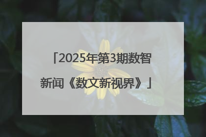 2025年第3期数智新闻《数文新视界》
