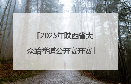 2025年陕西省大众跆拳道公开赛开赛