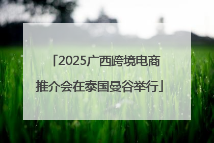 2025广西跨境电商推介会在泰国曼谷举行