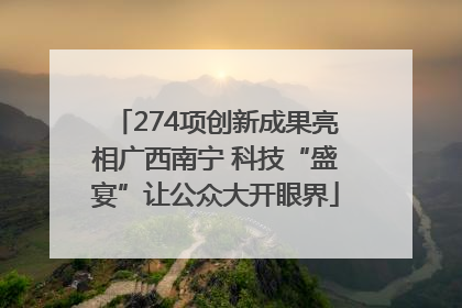 274项创新成果亮相广西南宁 科技“盛宴”让公众大开眼界