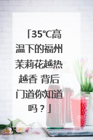 35℃高温下的福州茉莉花越热越香 背后门道你知道吗？