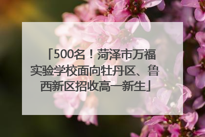 500名！菏泽市万福实验学校面向牡丹区、鲁西新区招收高一新生