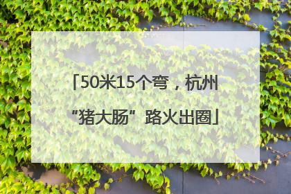 50米15个弯，杭州“猪大肠”路火出圈
