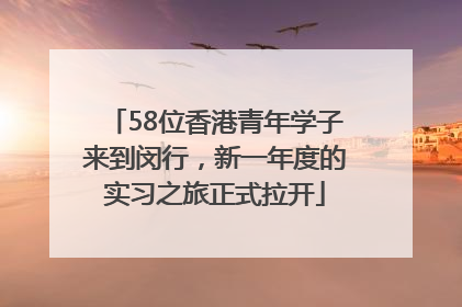 58位香港青年学子来到闵行，新一年度的实习之旅正式拉开