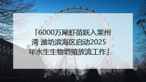 6000万尾虾苗跃入莱州湾 潍坊滨海区启动2025年水生生物增殖放流工作