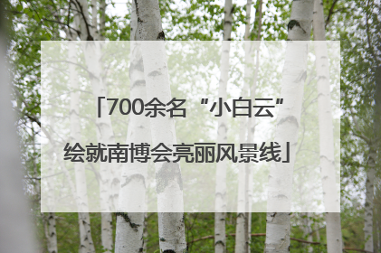 700余名“小白云”绘就南博会亮丽风景线