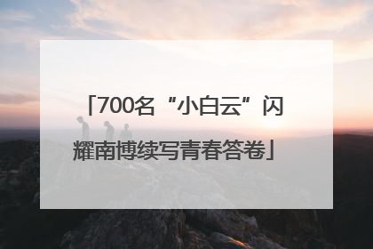 700名“小白云”闪耀南博续写青春答卷