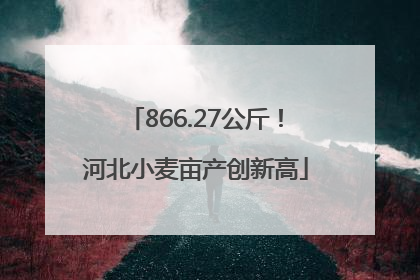 866.27公斤!河北小麦亩产创新高