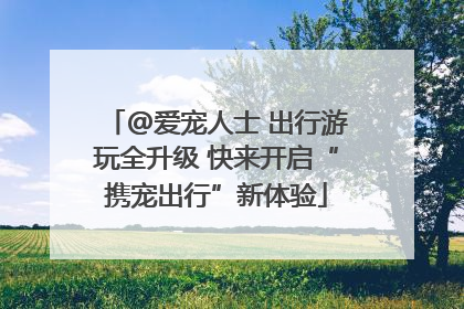 @爱宠人士 出行游玩全升级 快来开启“携宠出行”新体验