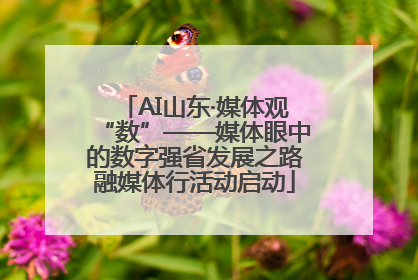 AI山东·媒体观“数”——媒体眼中的数字强省发展之路融媒体行活动启动