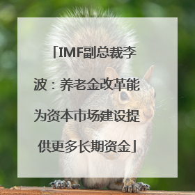 IMF副总裁李波：养老金改革能为资本市场建设提供更多长期资金